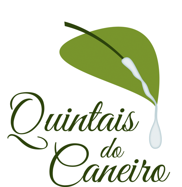 logo2